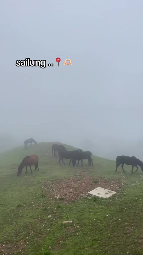 @Sa jaαη..!
