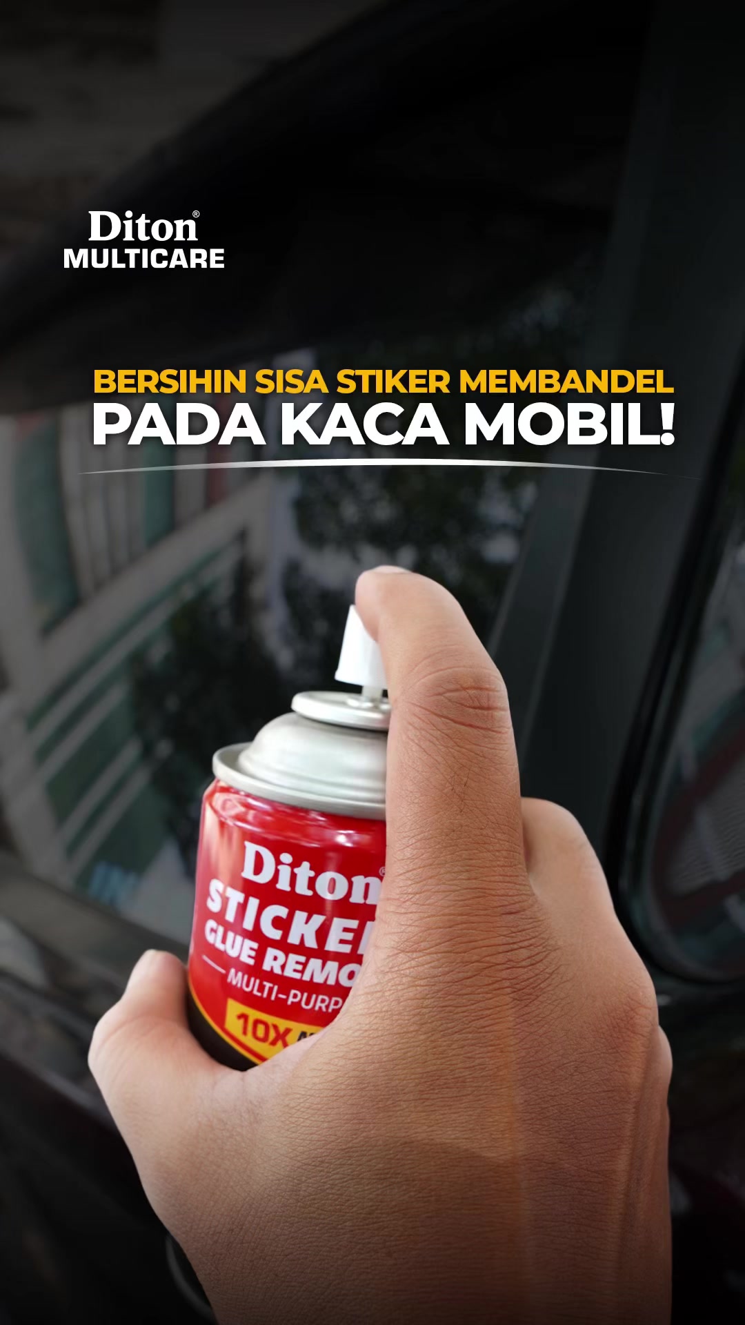 @Diton Premium