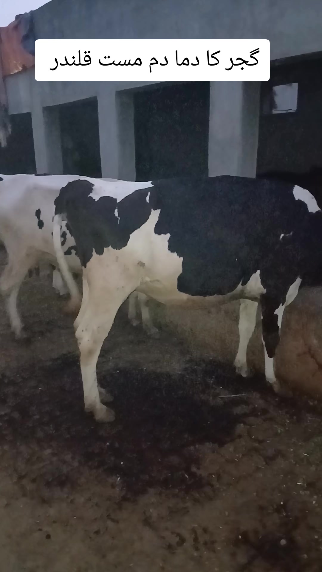 @Farming and Business Ideas