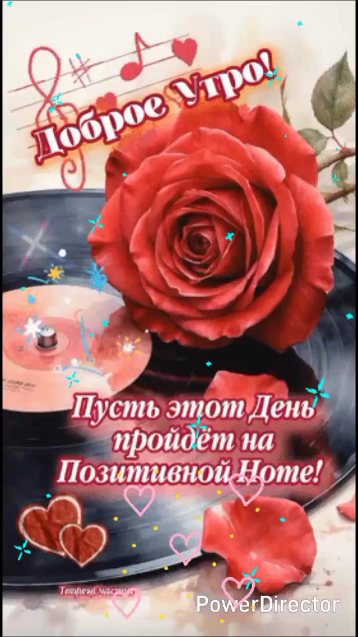 @user25256083356