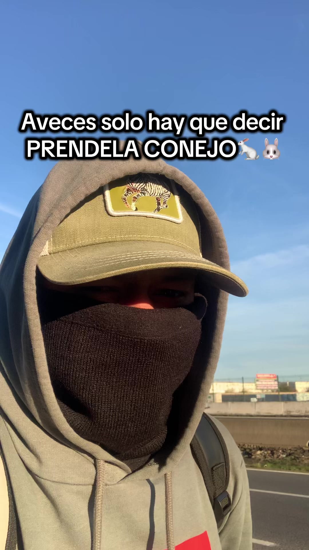 @Perro redes