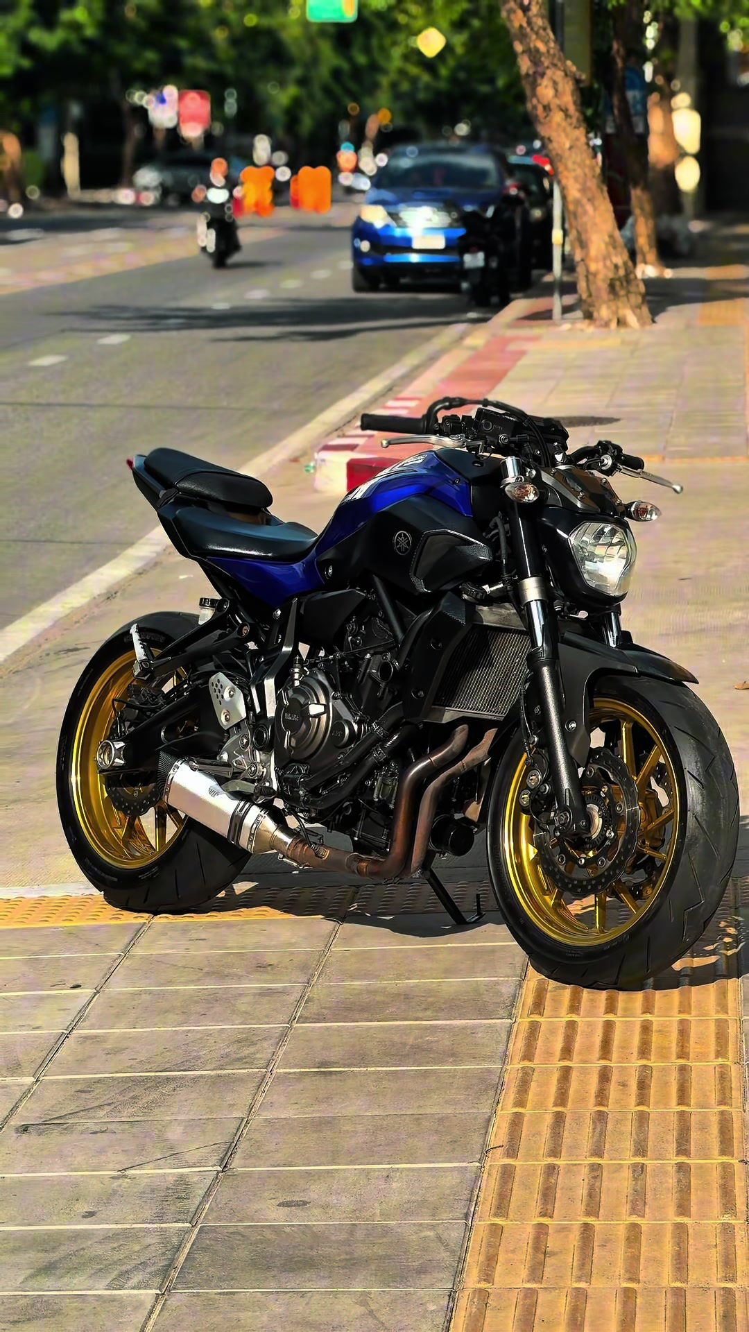 @PkBikeShop (S.Jack)