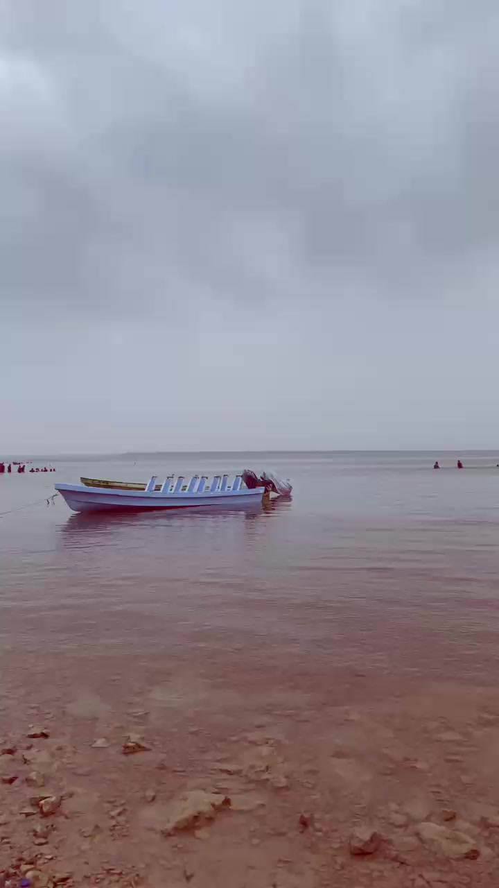 @baba22sarkar