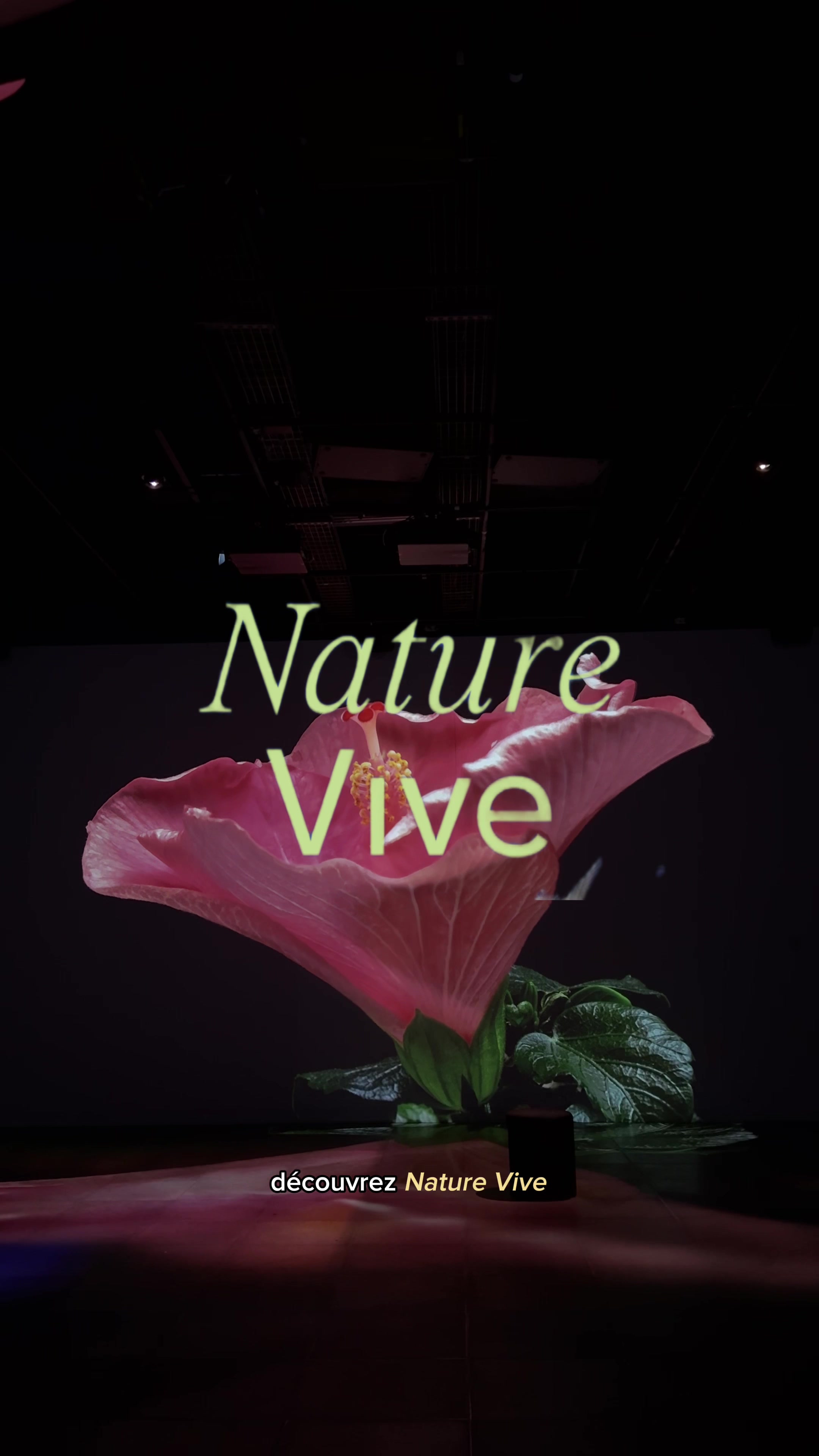 @Chandni | montreal vlogger