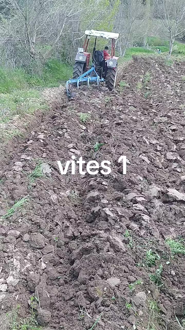 @Eren Güngör. 54