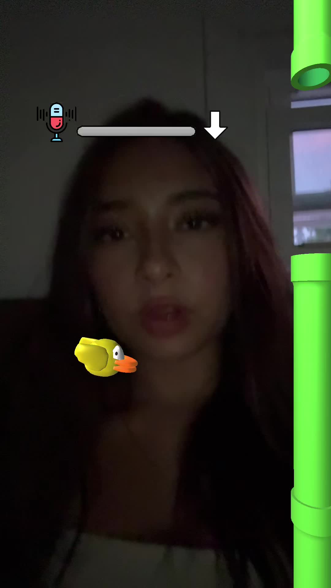 @alejandra