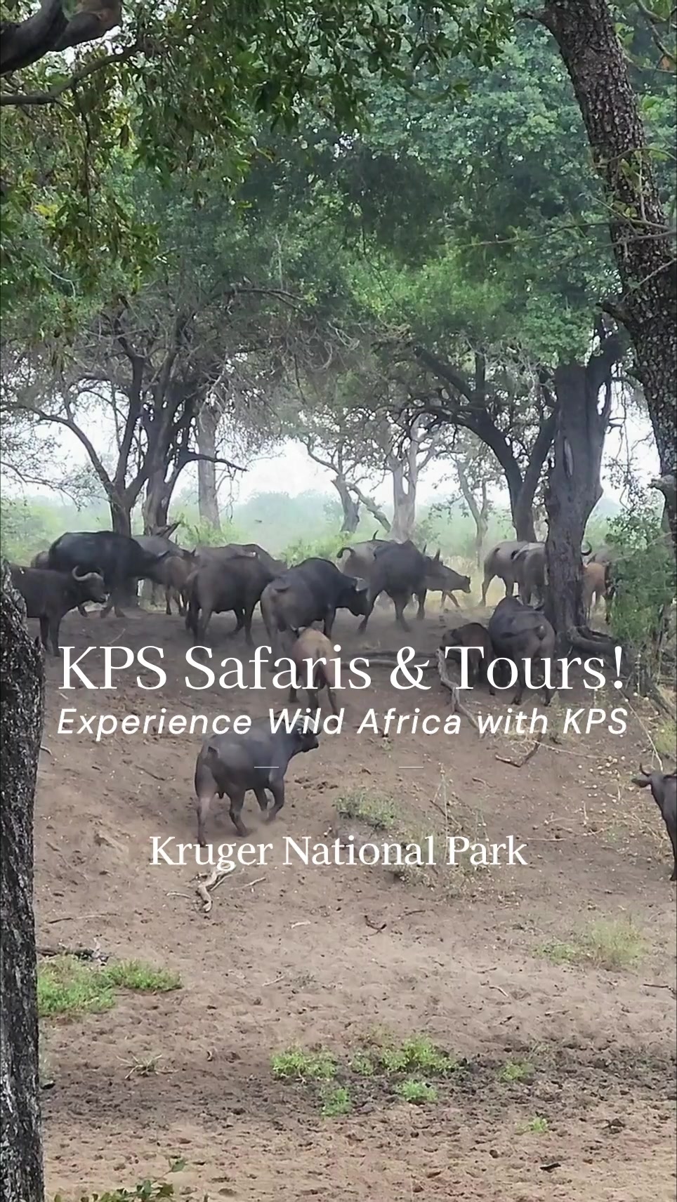 @KPS Safaris and Tours
