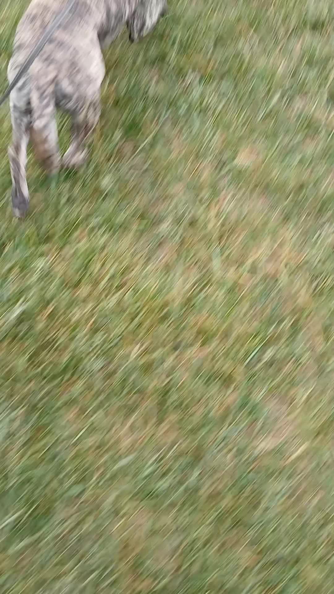 @Natalie Thatmalinoislady