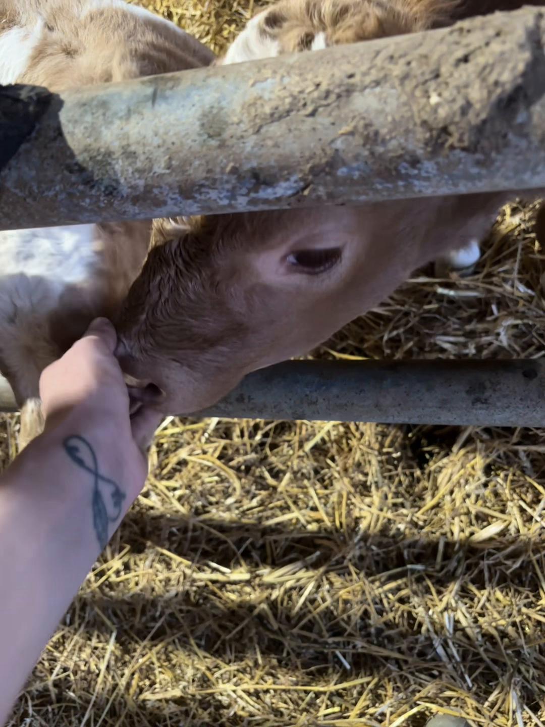 @Mon quotidien agricole