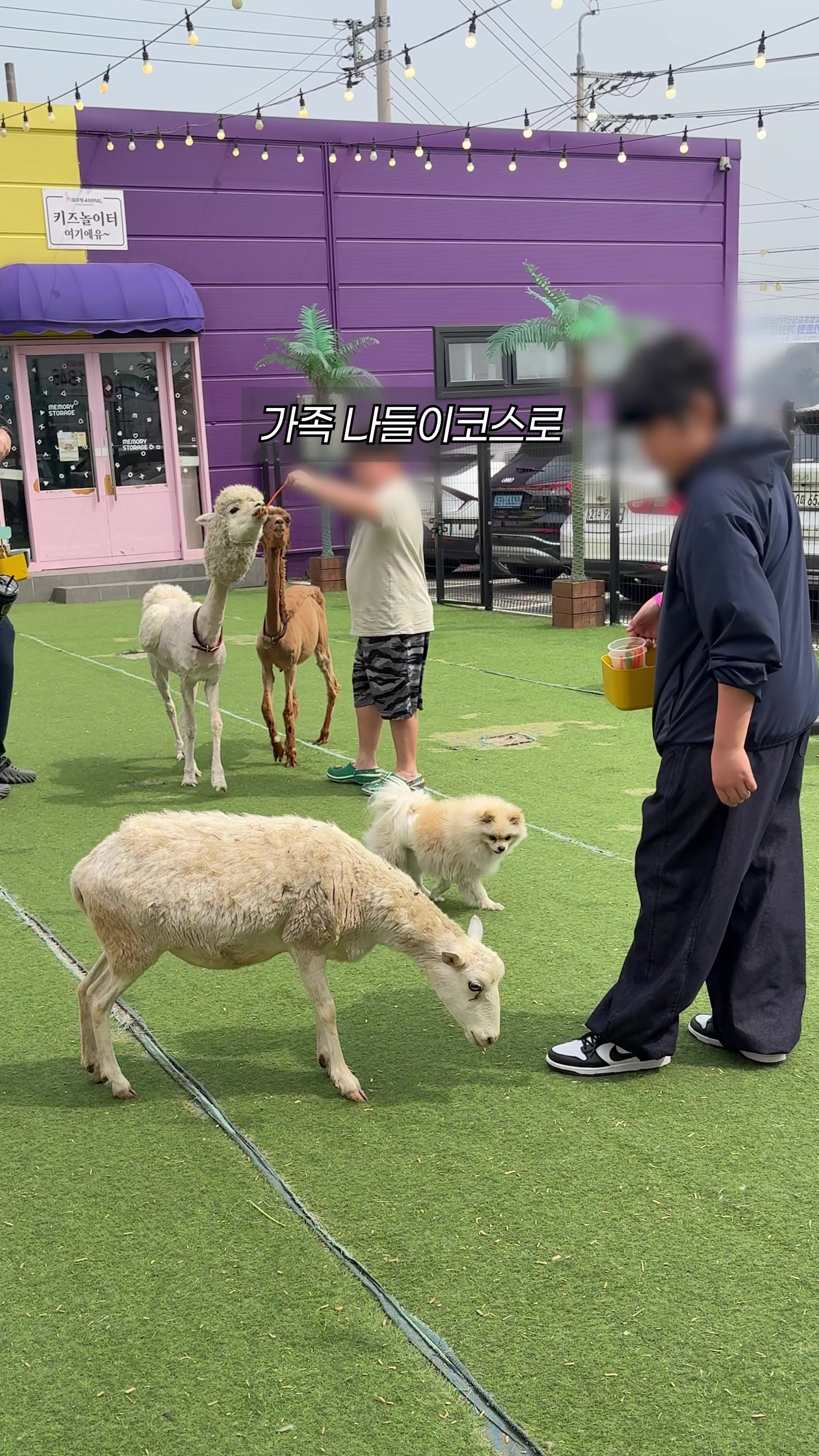 @먹운남