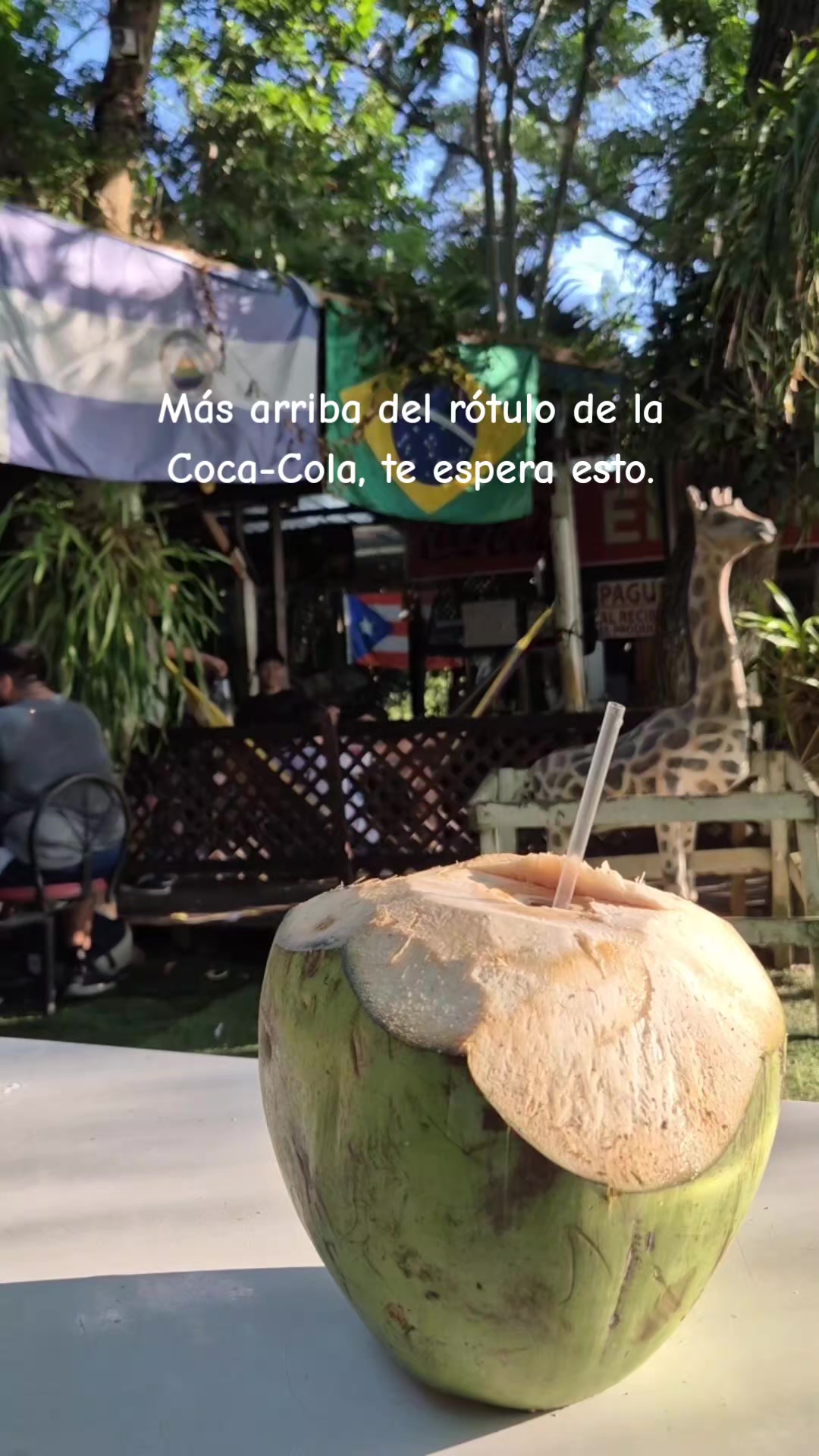 @𝐾𝑒𝑦𝑙𝑖𝑛 𝐶𝑎𝑠𝑡𝑟𝑜 ʚɞ