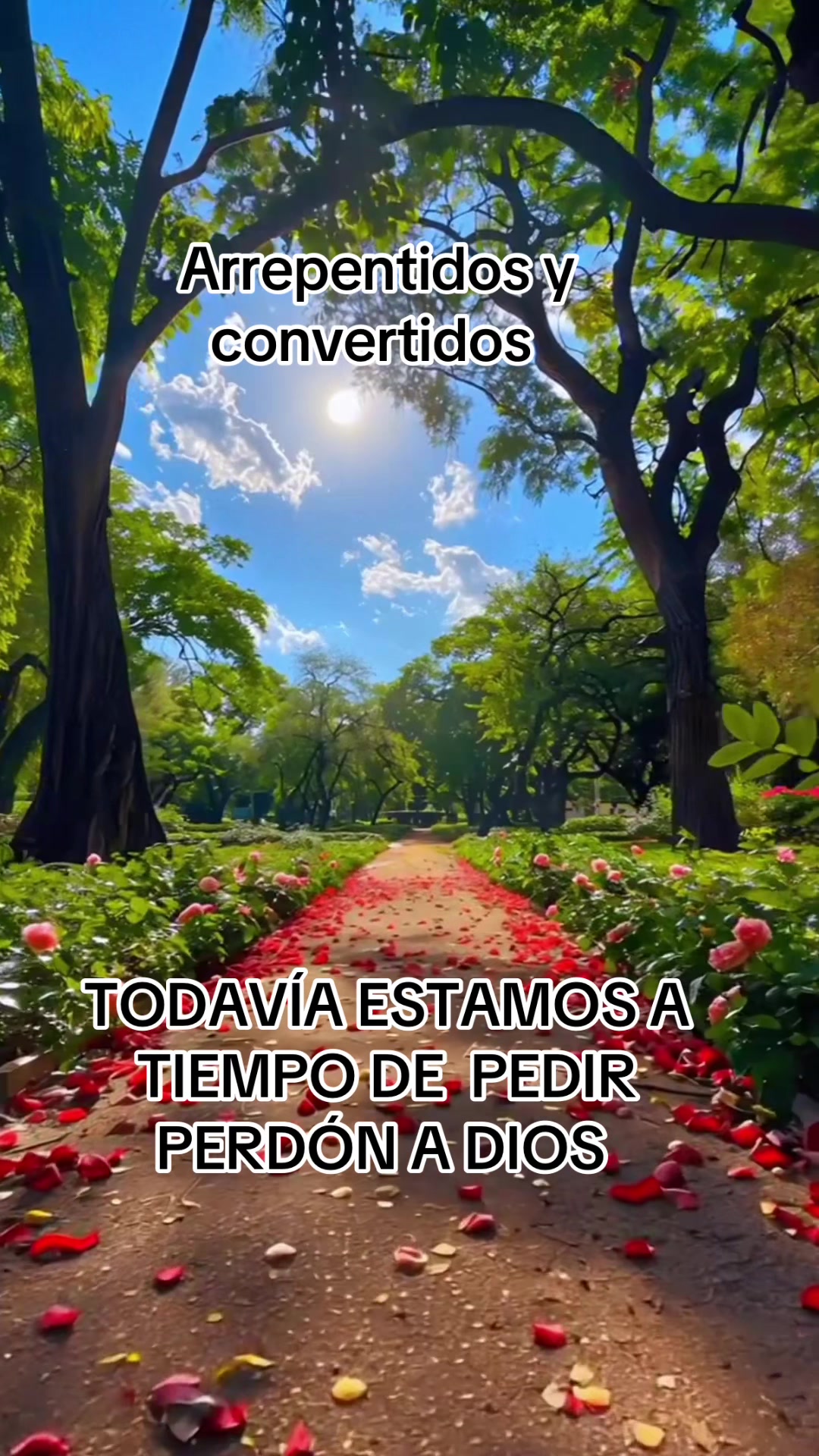 @Adelsomusicacristiana