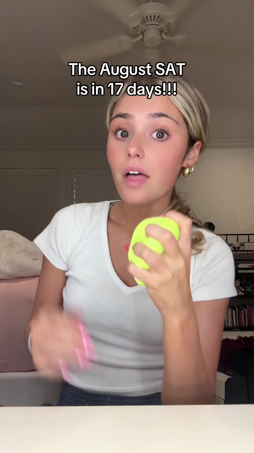 @studyingwithbellaaa