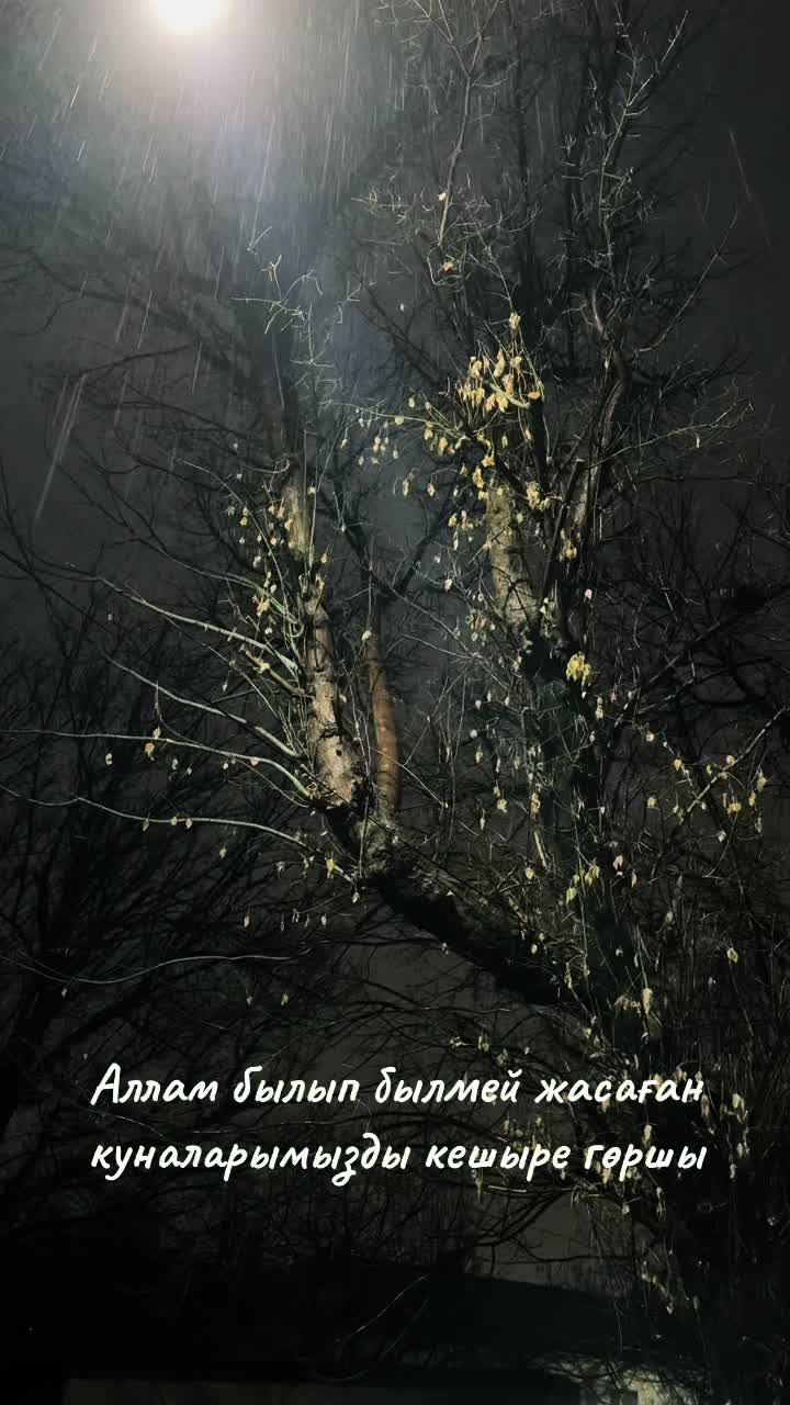 @user37636723729