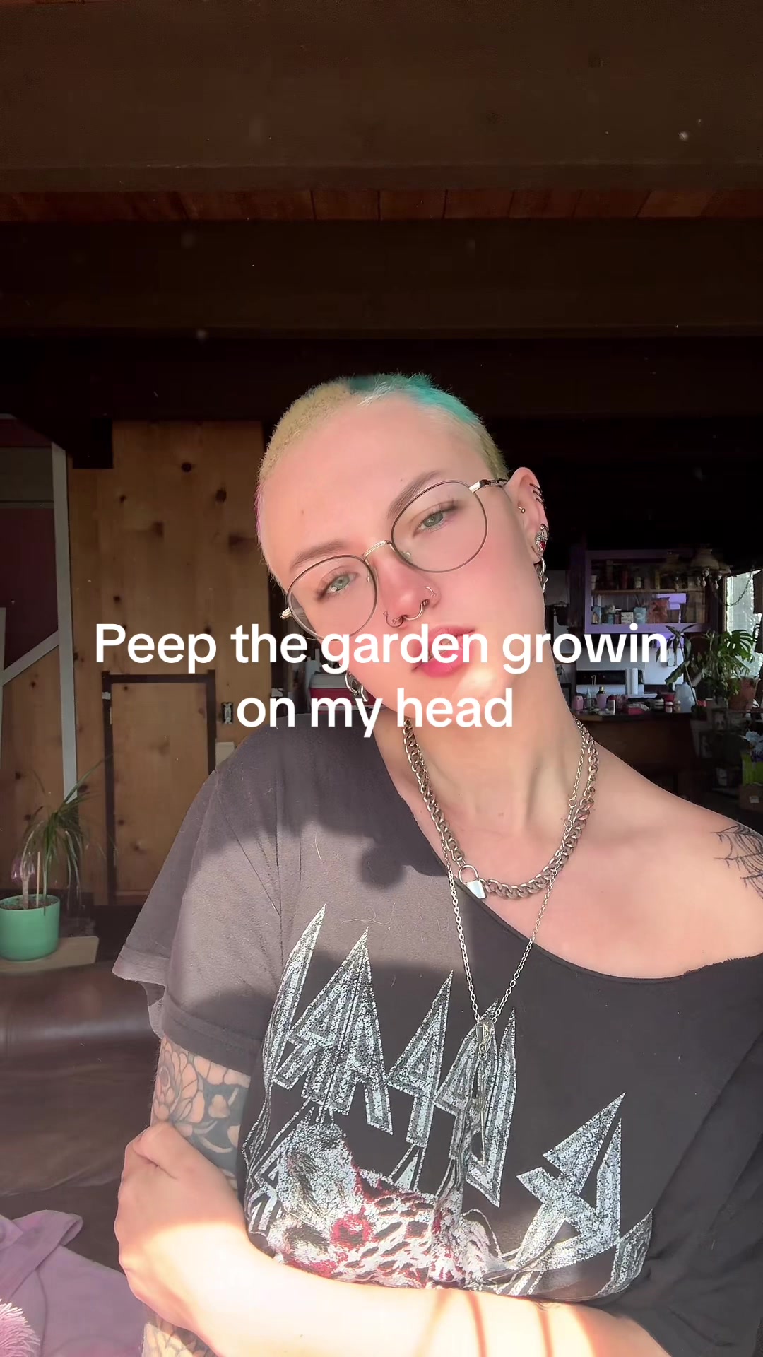 @shayshay