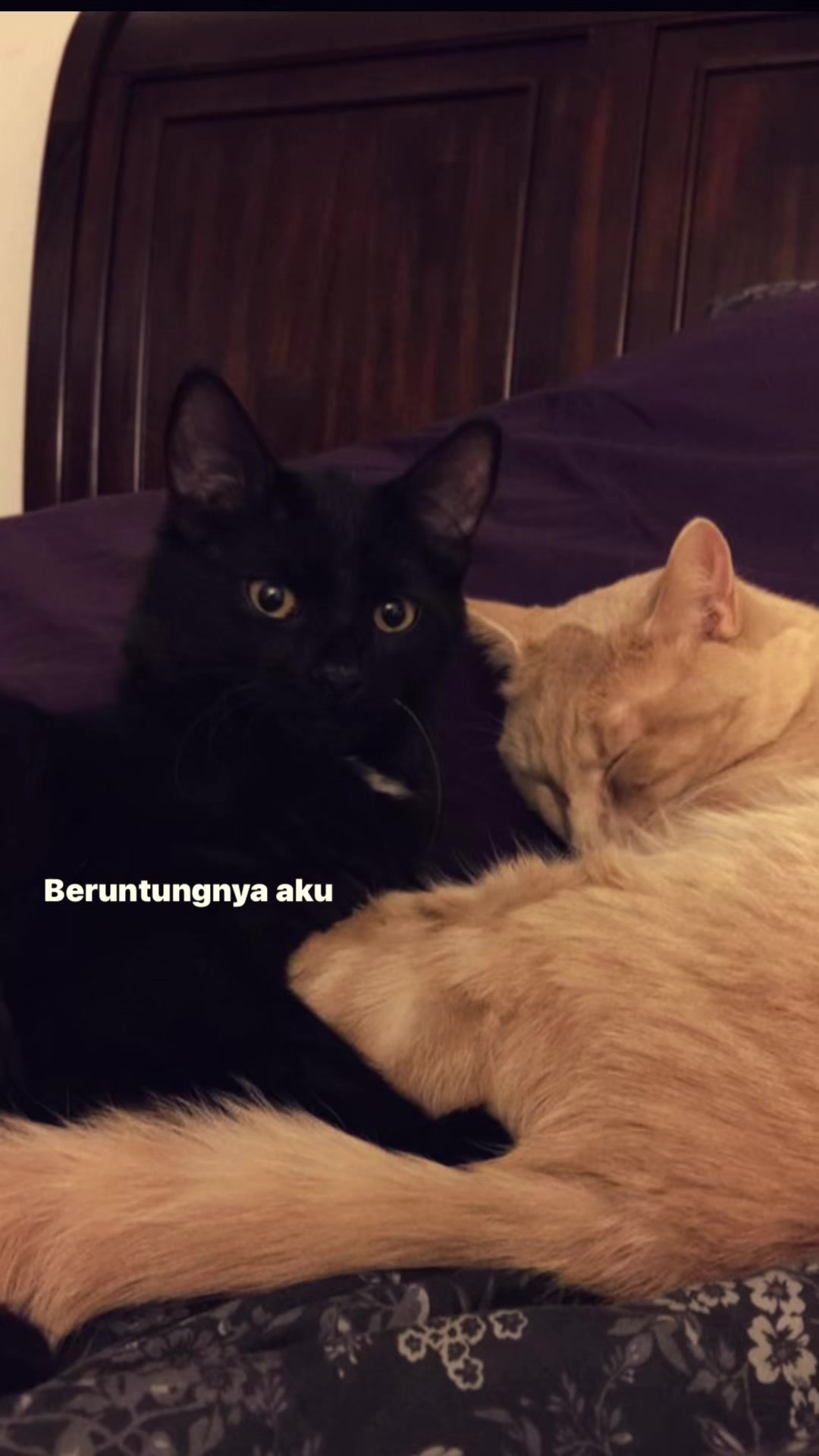 @^~^