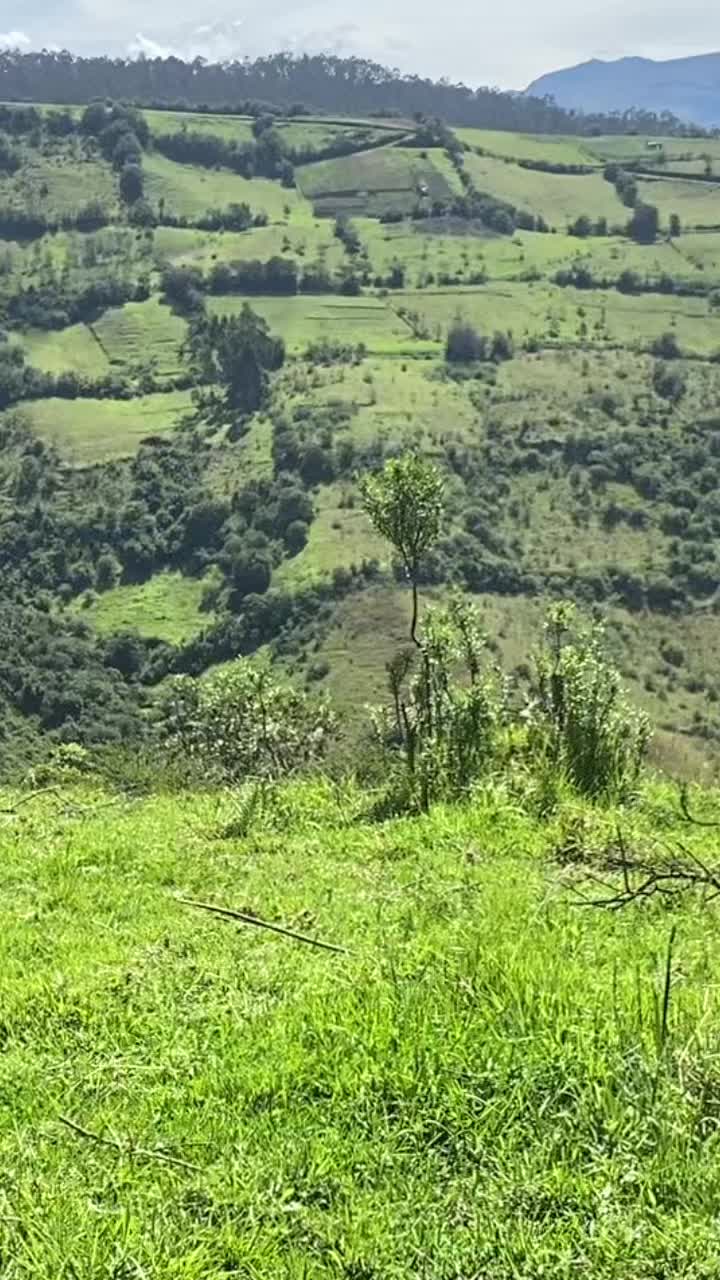 @M&uacute;sica sin Filtros 🎶🎵🎧