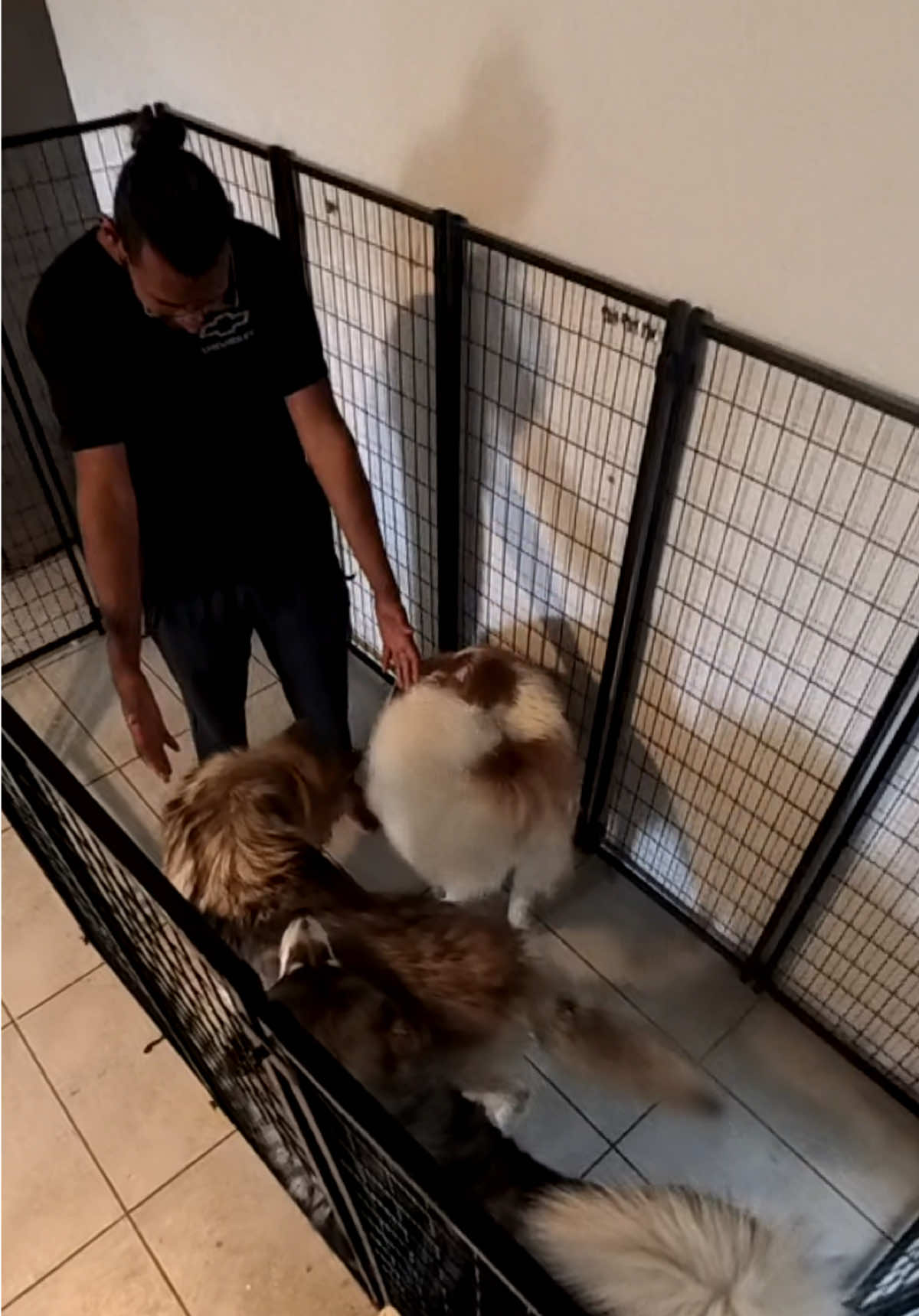 @Neko, Tokahli and Bear
