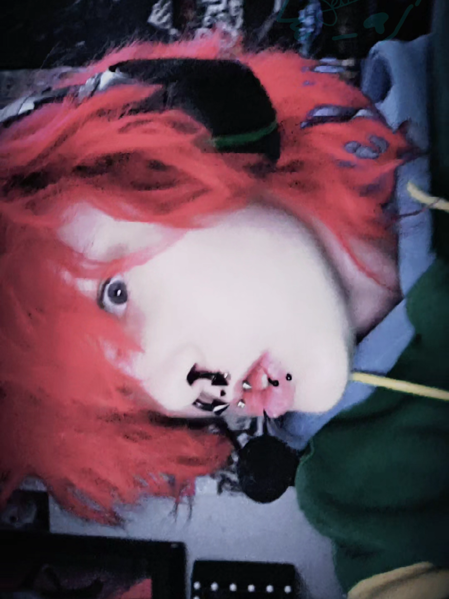 @Vixen And The Void¹²⁷
