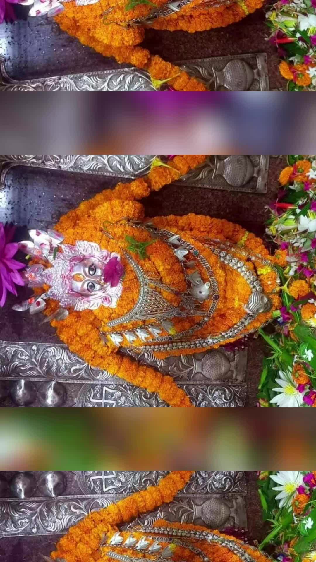 @mamtamishra