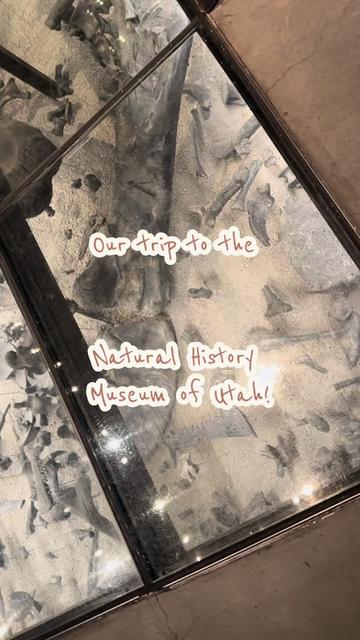 @⛧𝐸𝓃𝓋𝓎⛧