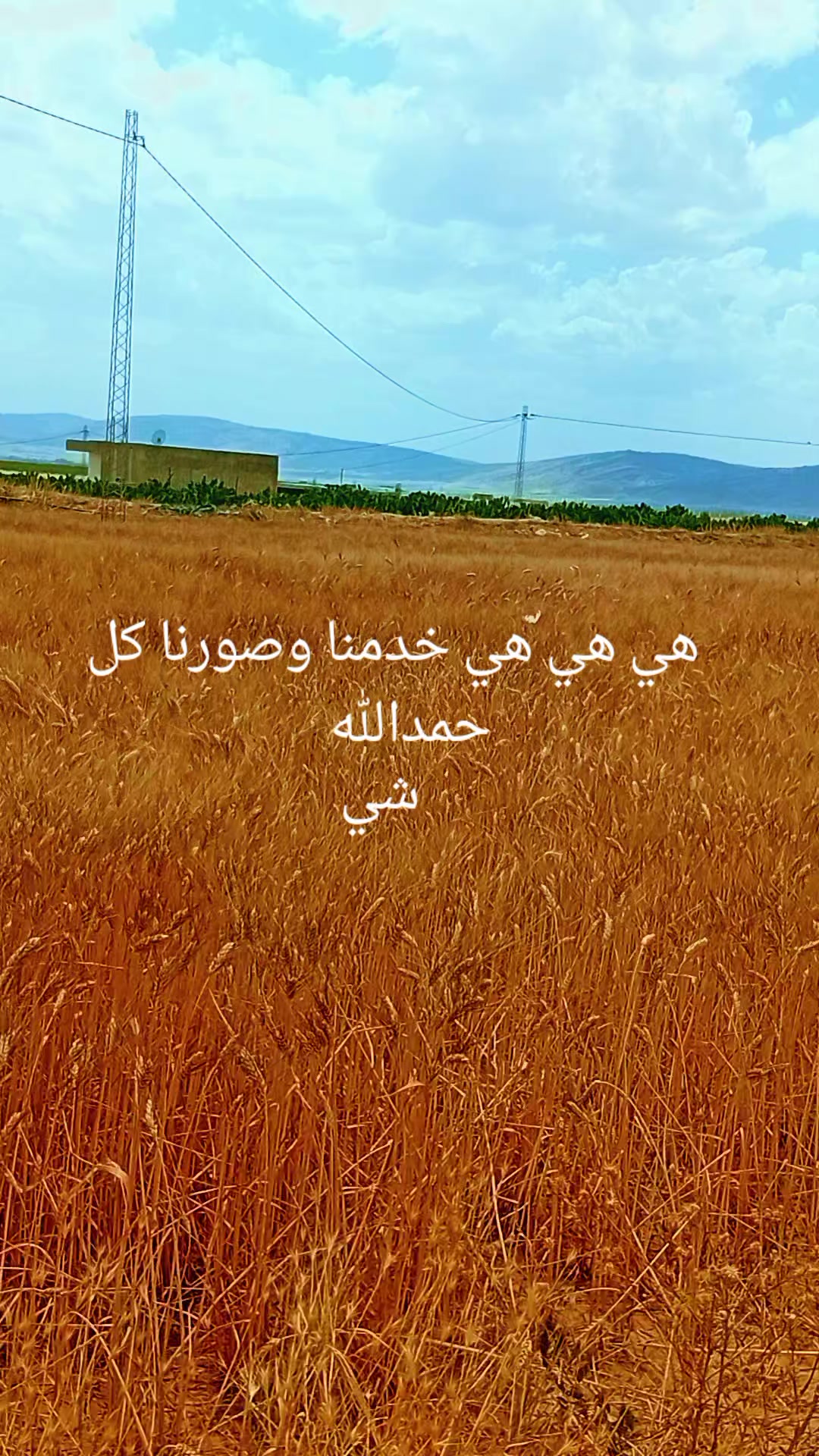 @Mohamed Fridhi