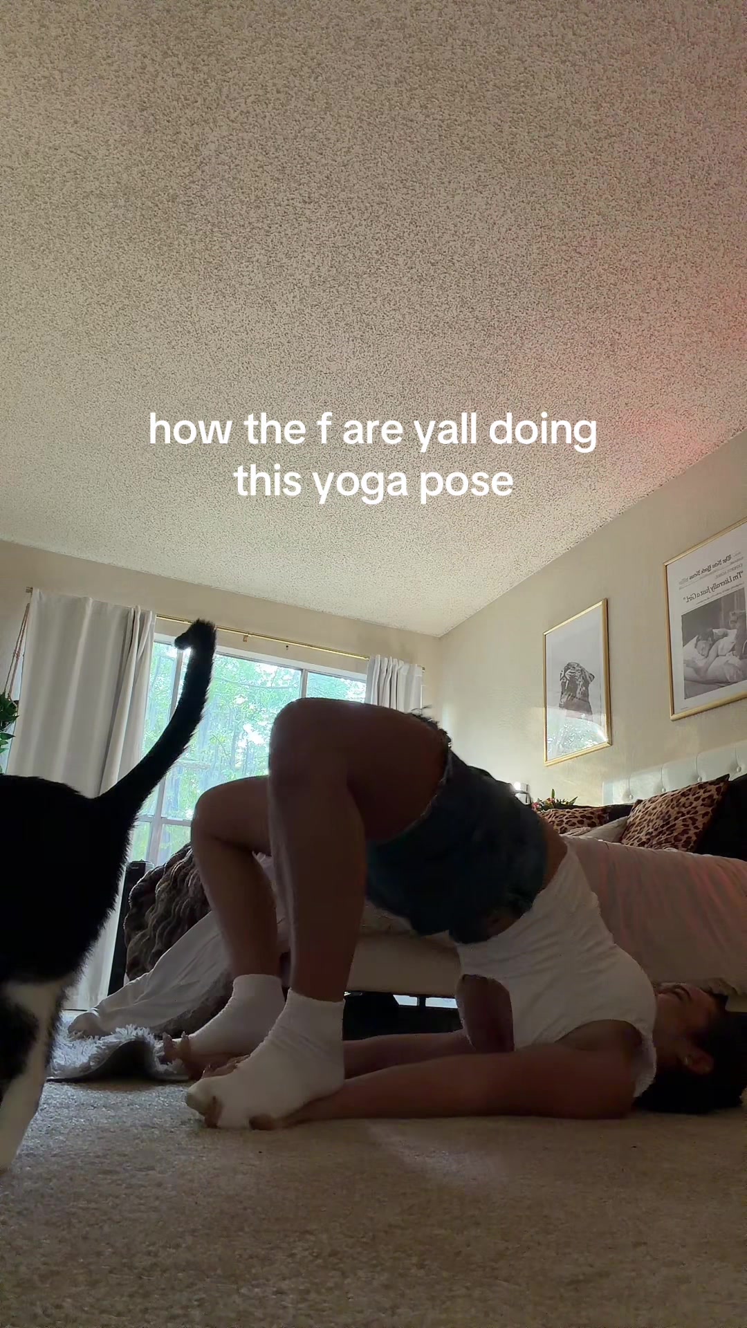 @frantastic