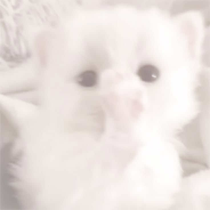 @𝖩𝗎𝖩𝗎♡ :𝟥