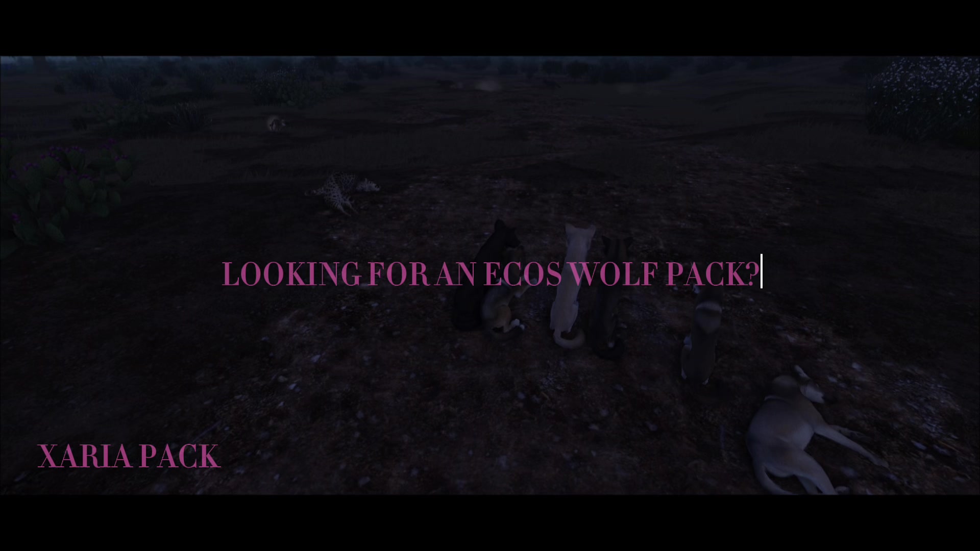 @Xaria Pack