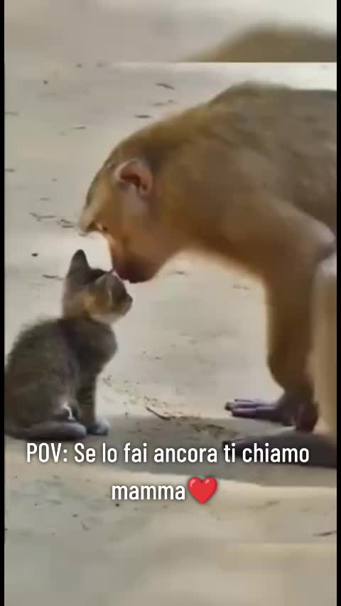 @Tanya R....