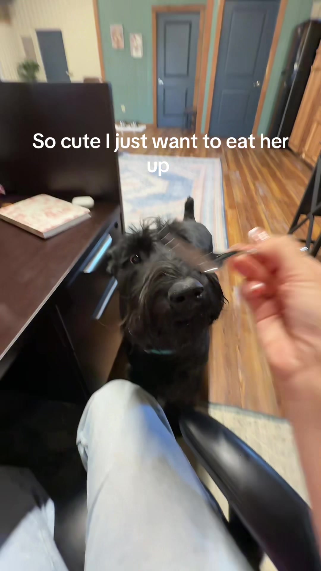 @Mikah 🐾 🐶 💓