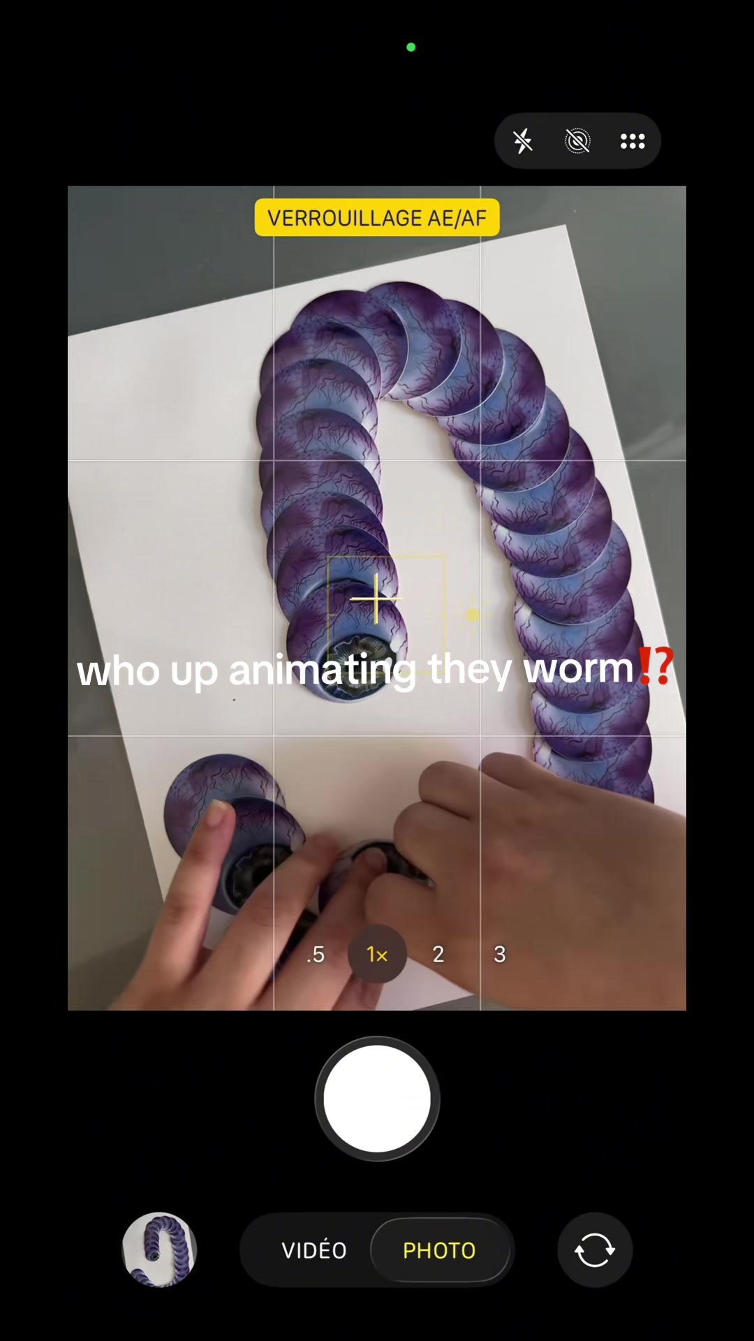 @Isa Obradovich