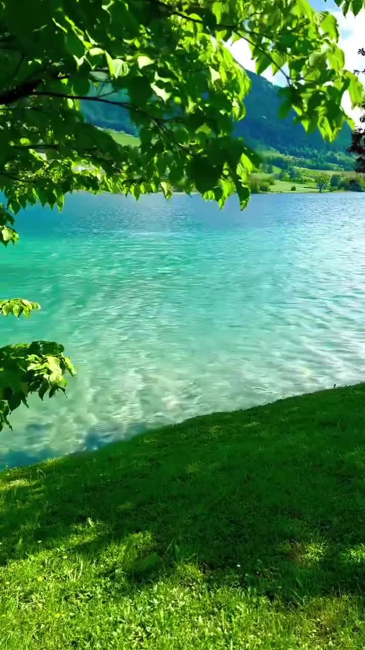 @Radmila