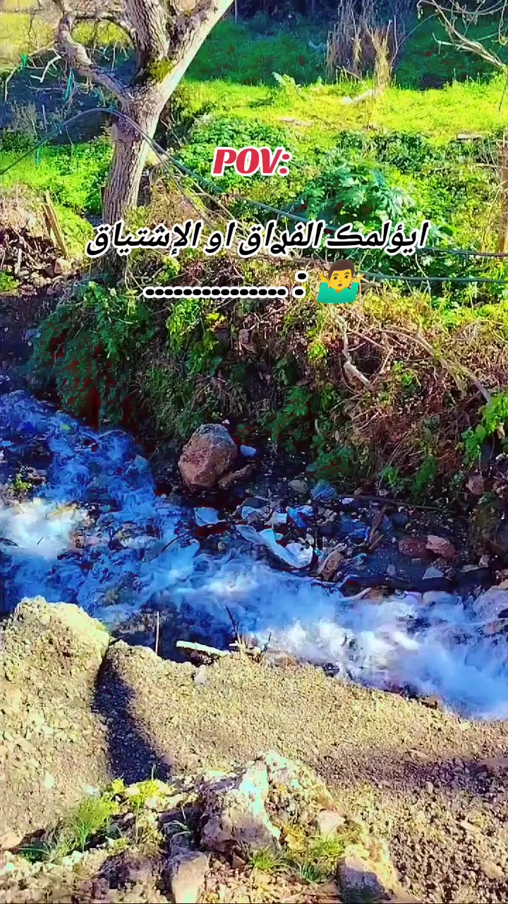 @:ڪــــــآدّيَ_ 𓄼𝐊𝐀𝐃𝐈:𓆰
