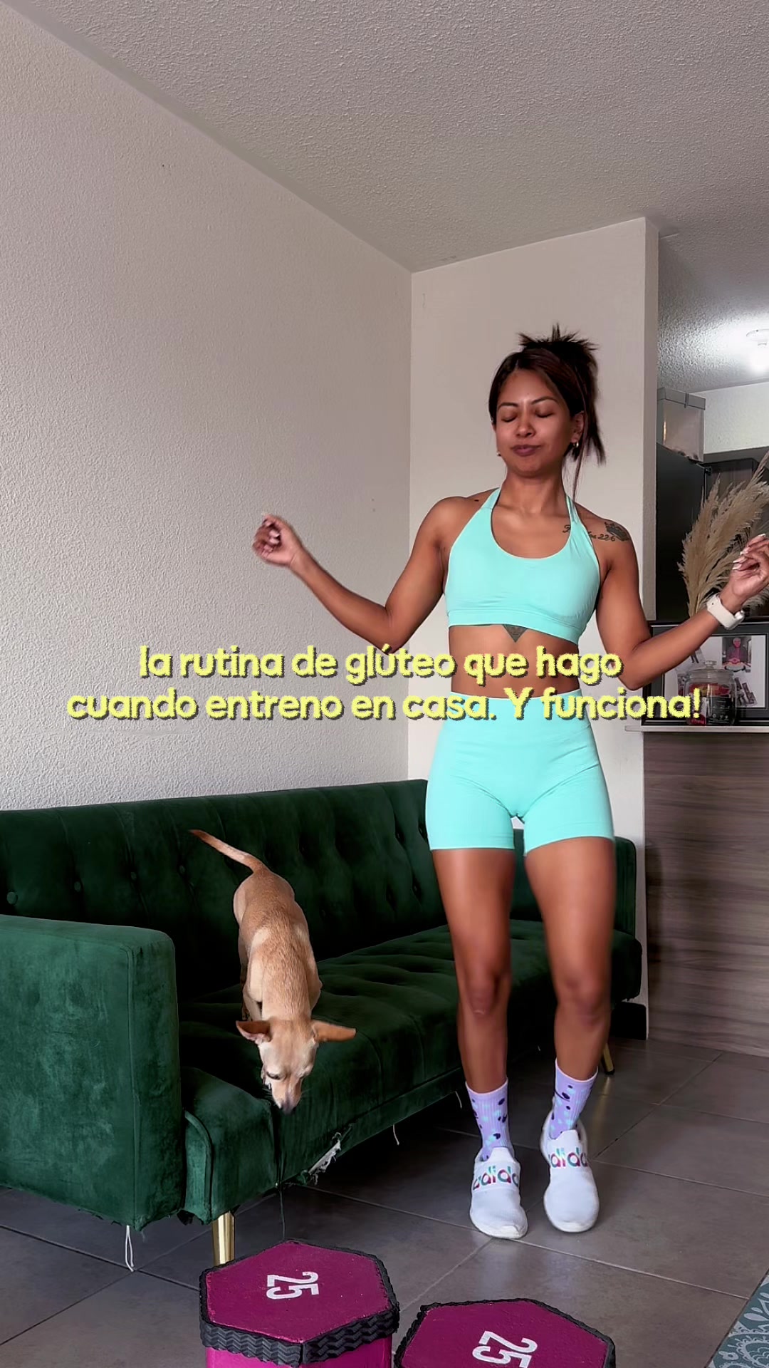 @Sofie