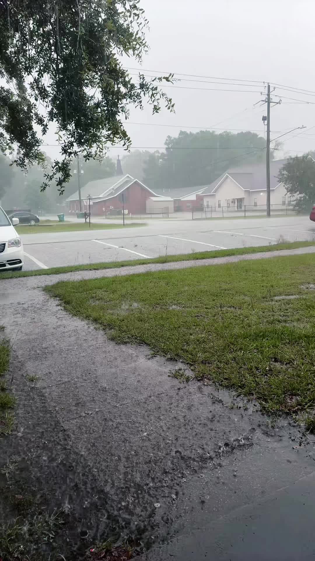 @SwampStorm 🔥