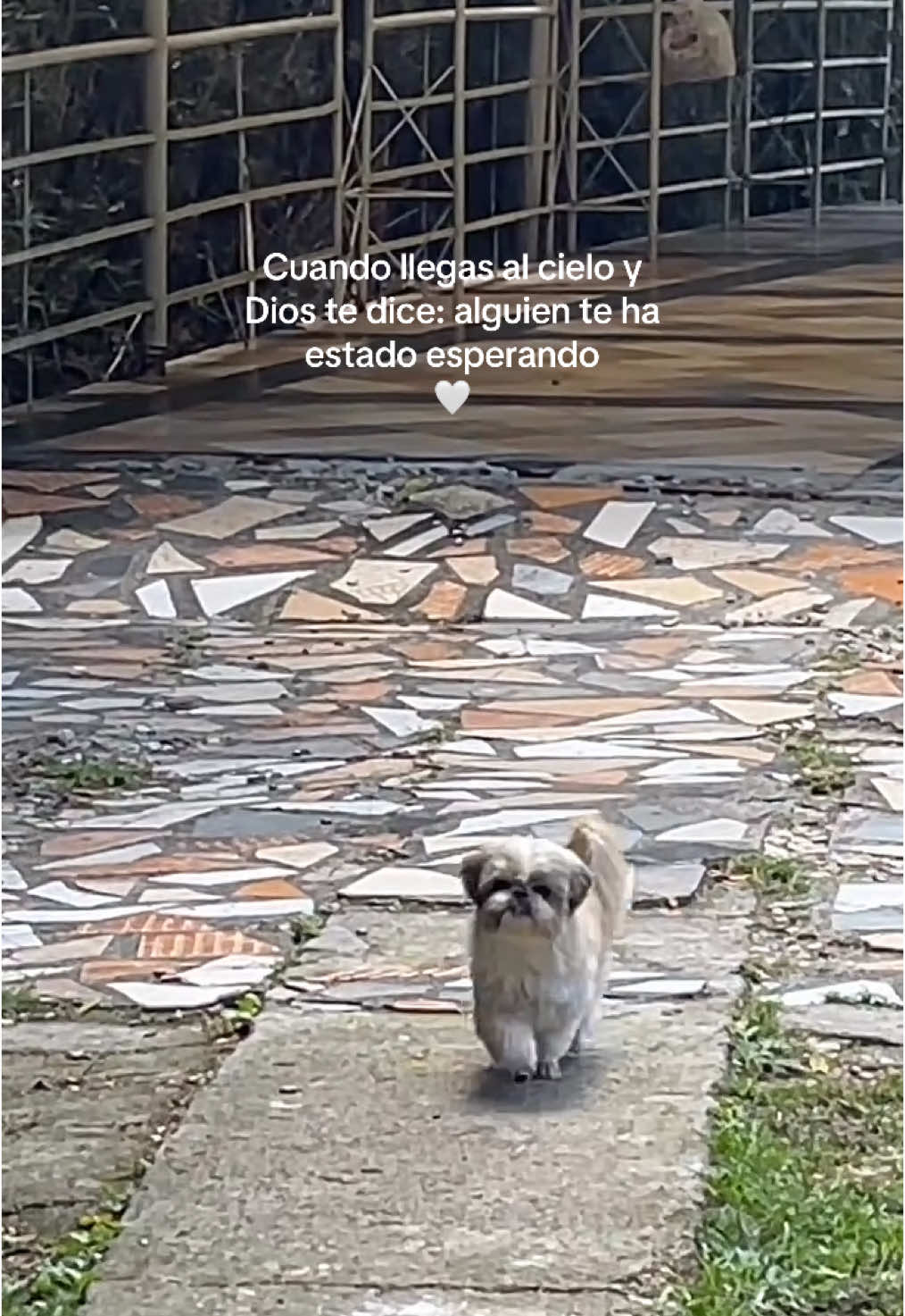 @lopezzjuana