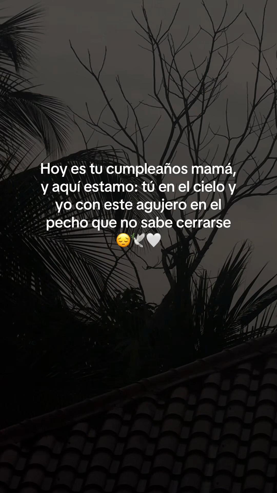 @Melissa Andrade