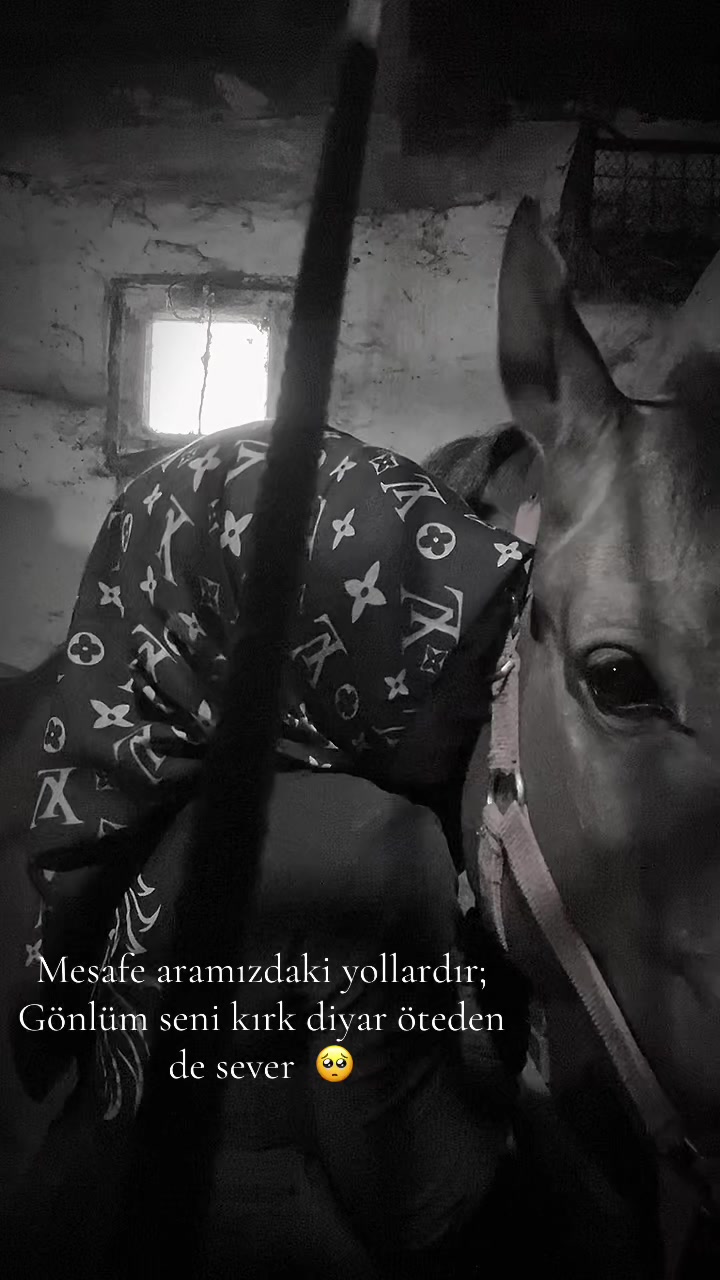 @HarzemŞah