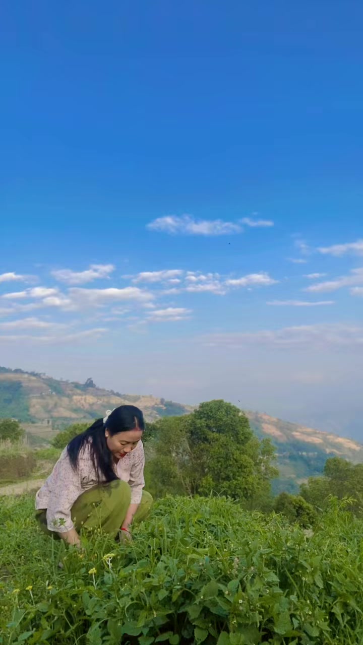 @Mahima77788