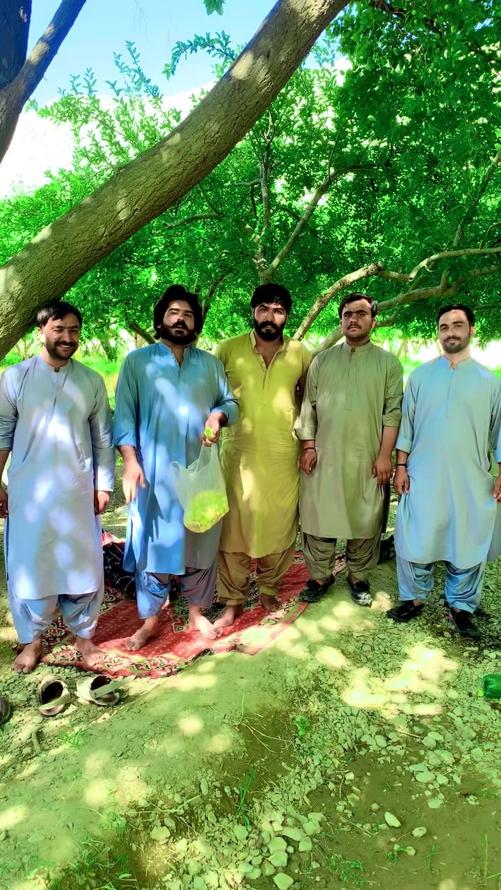 @Sarfaraz Raisani