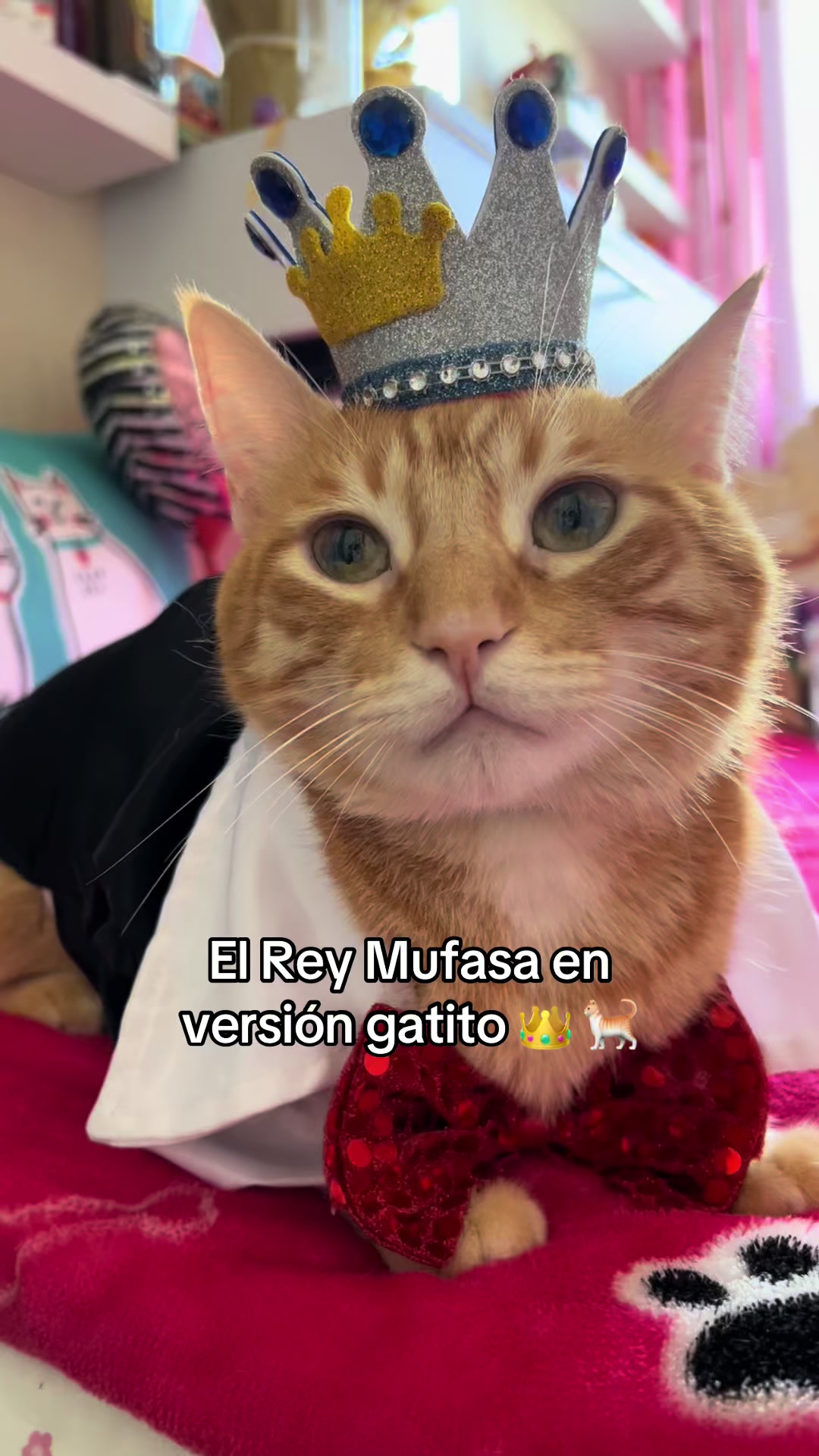 @Rey Mufasa👑🦁