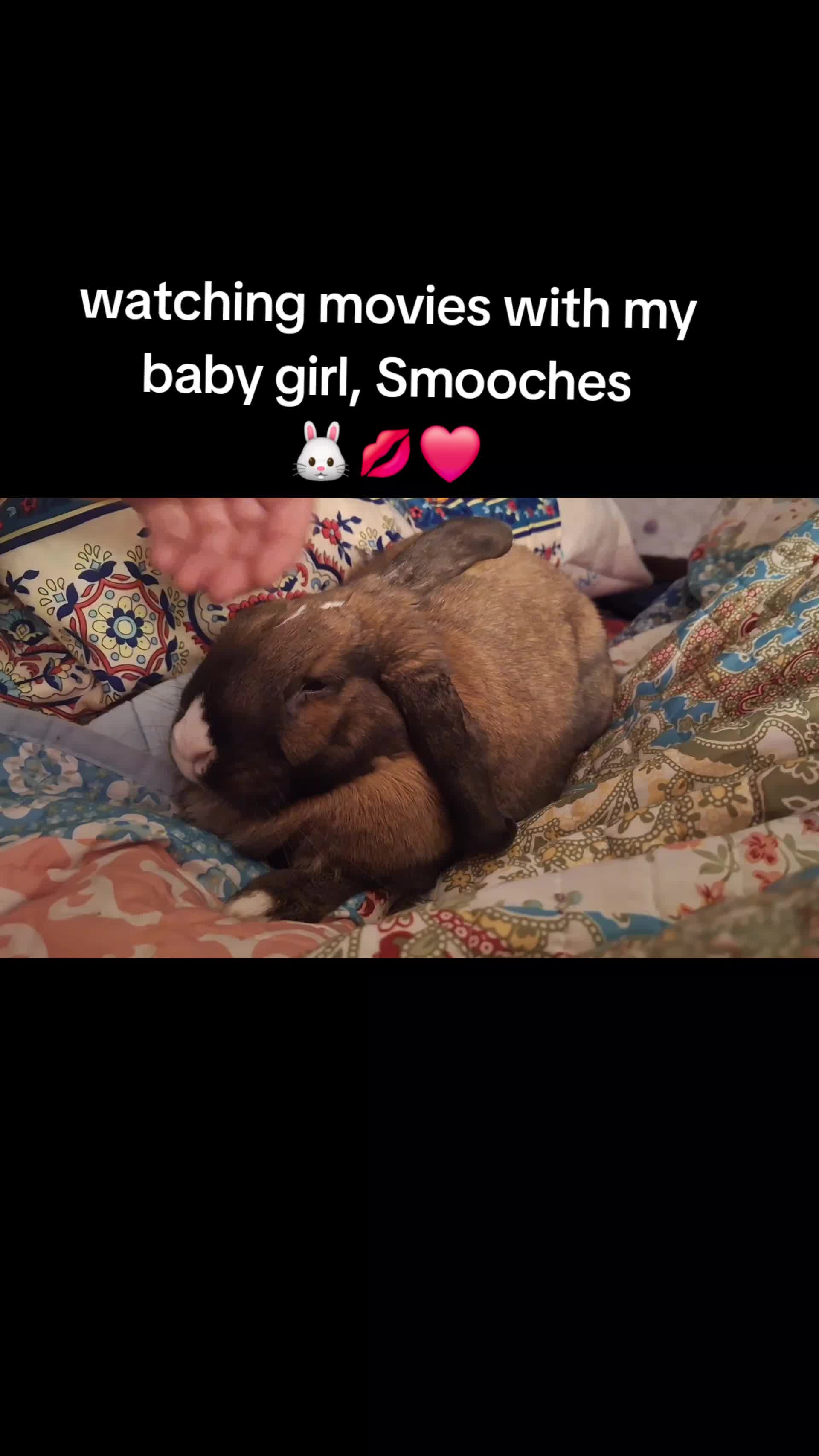 @kaitlinsillyrabbit