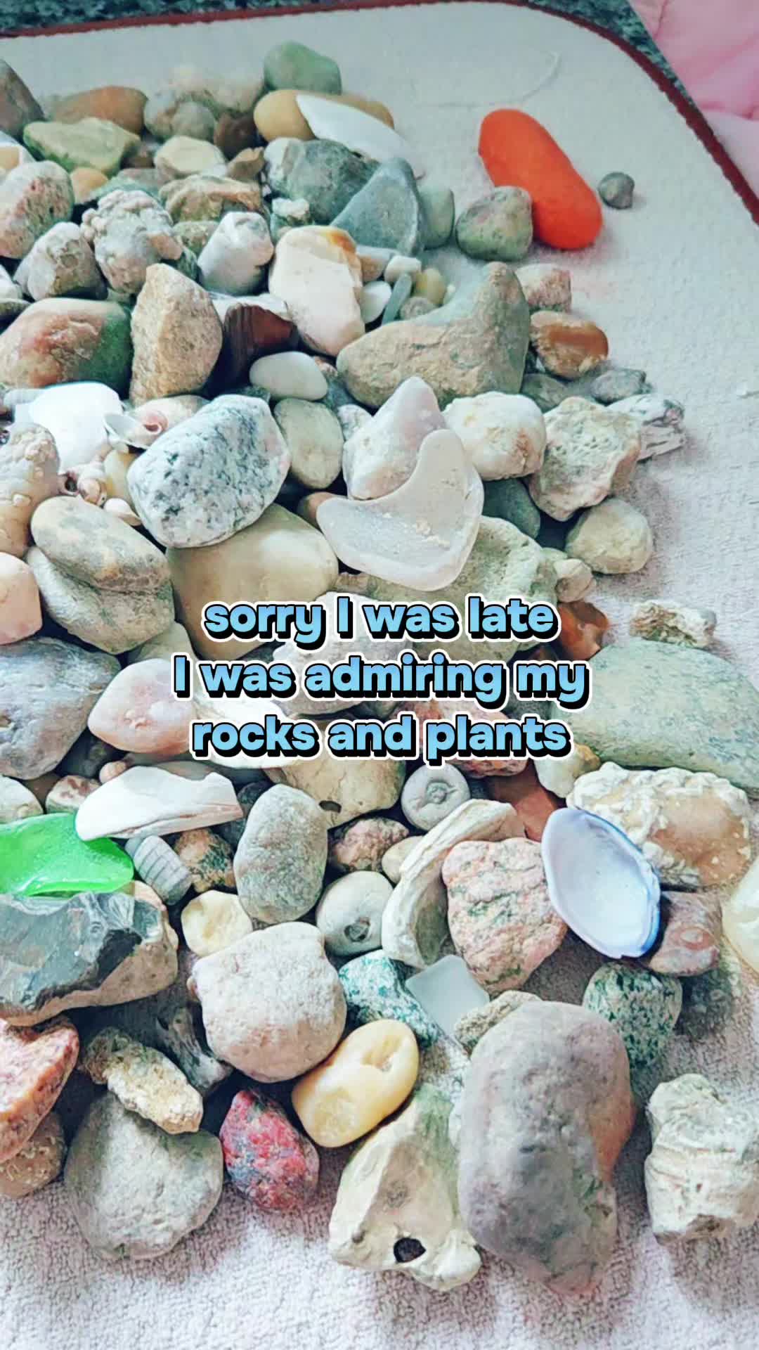 @Morgan