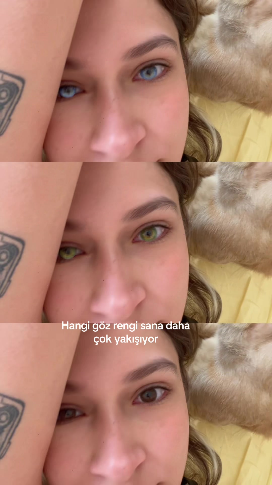 @blup