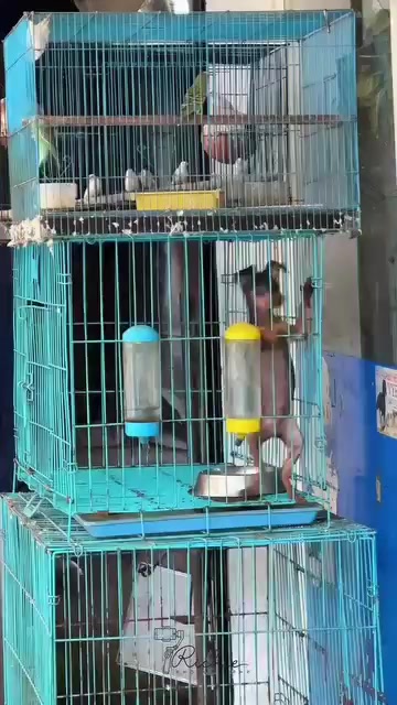 @๐ฅฐ๐ฅ๐๐๐ช๐๐โ๐๐๐๐๐๐๐ฅฐ