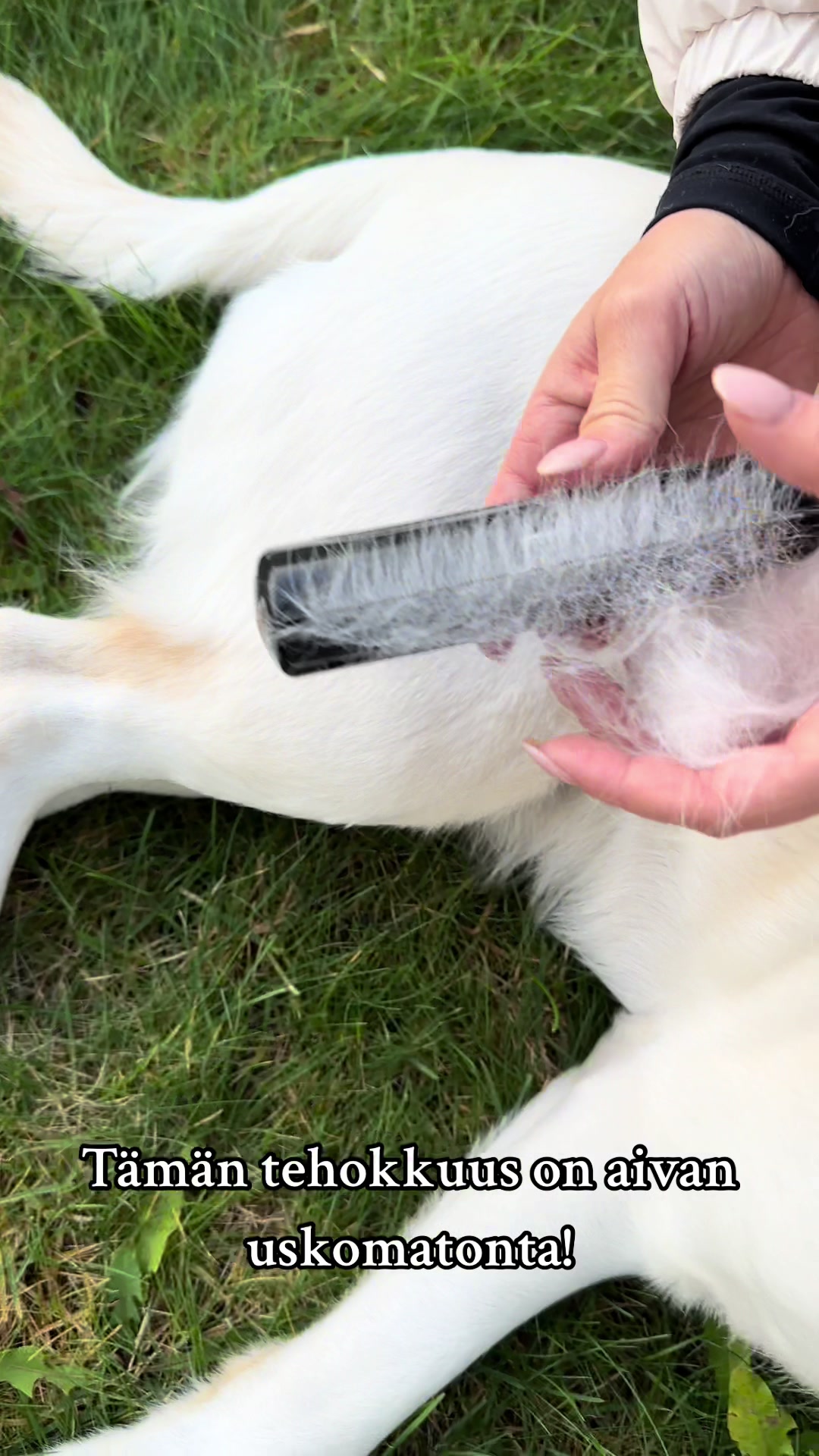 @puppycomb