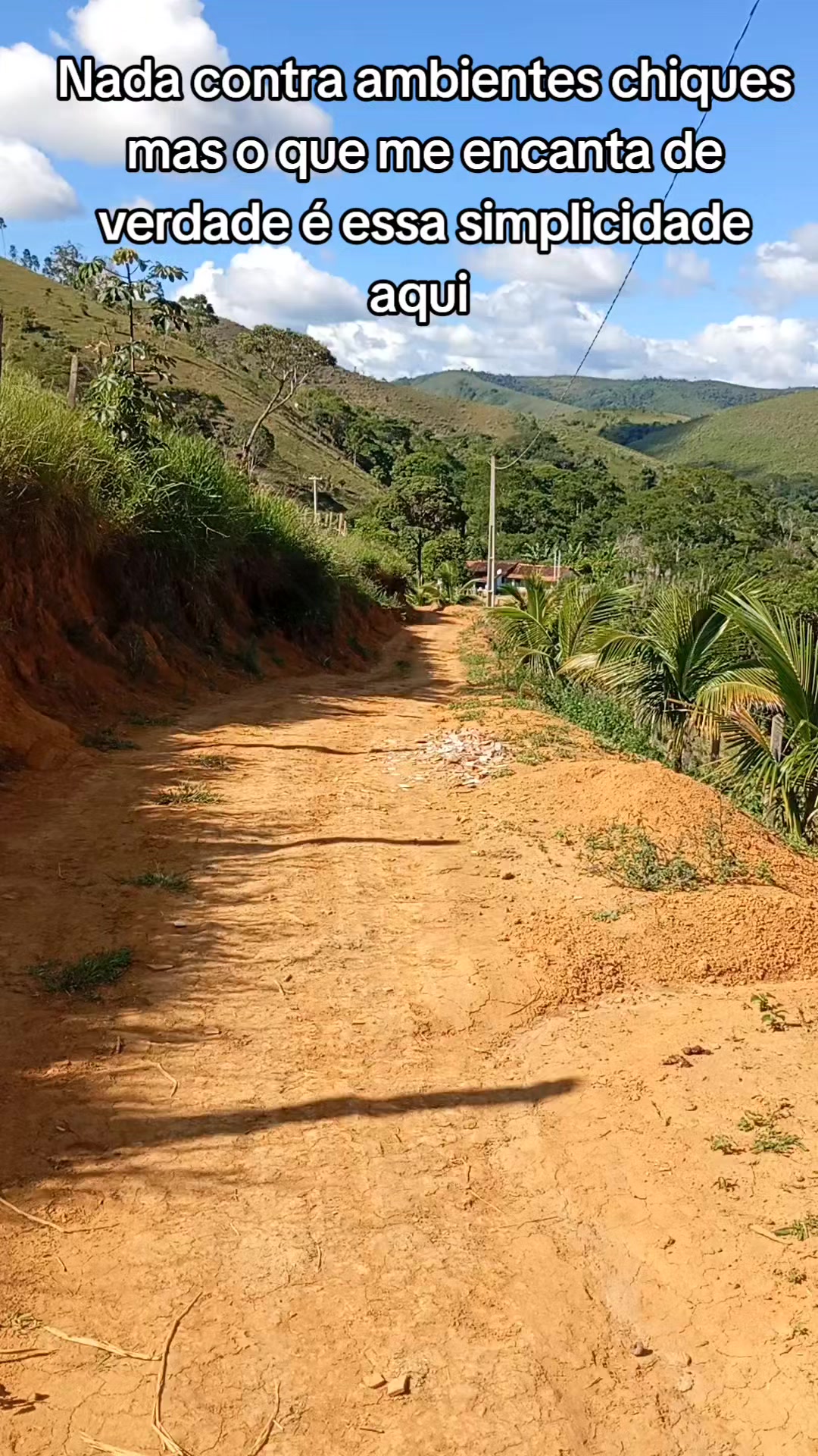 @Roça 🤠🌱
