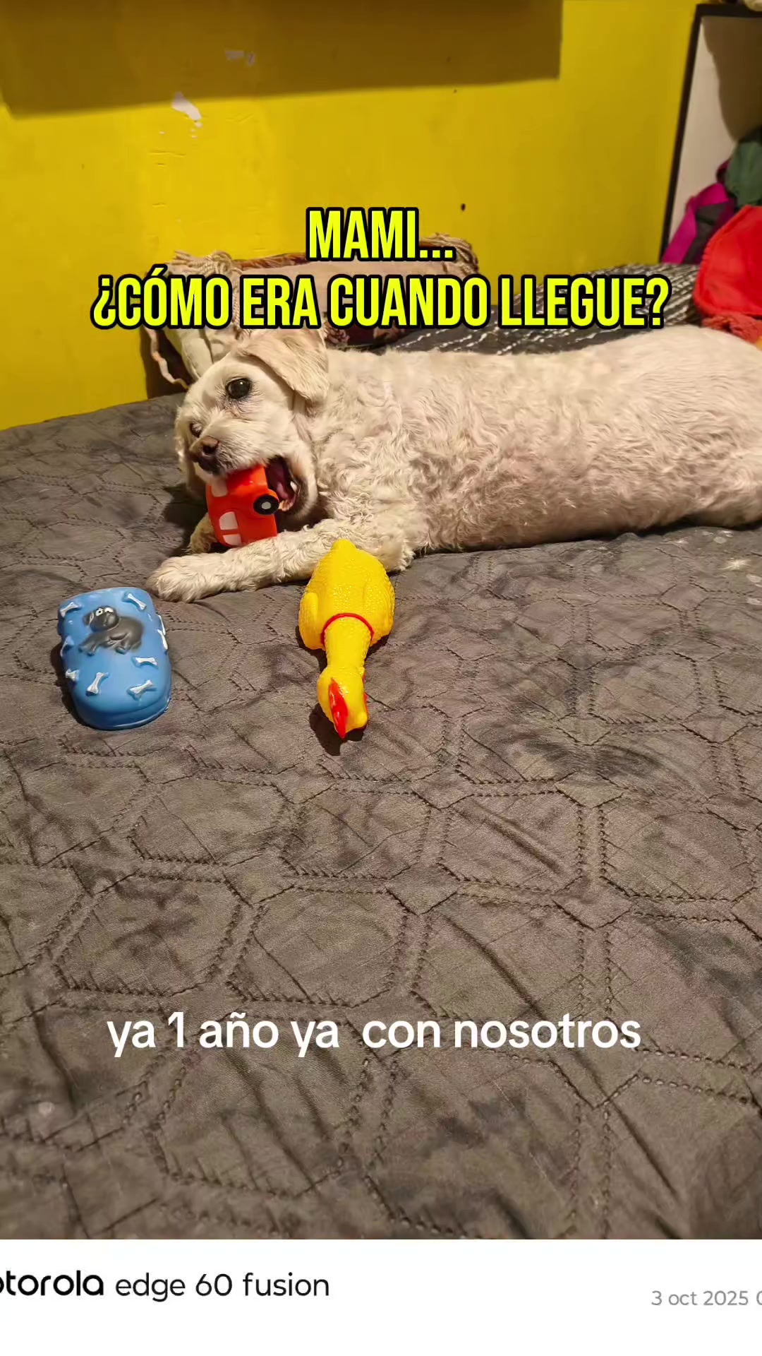 @uberlinda