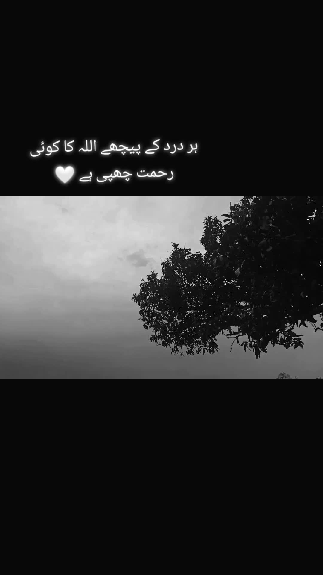 @~♡itzz parbez♡~